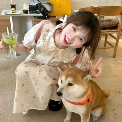 黑帮之地